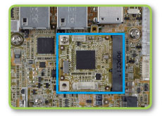 iRIS-1010